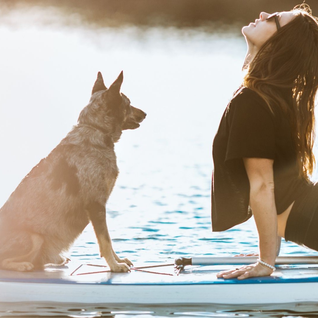 paddleboard  – 1